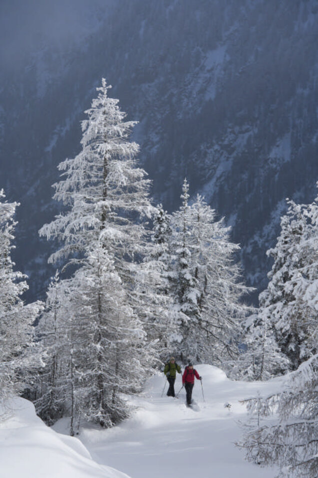 schneeschuhwandern2